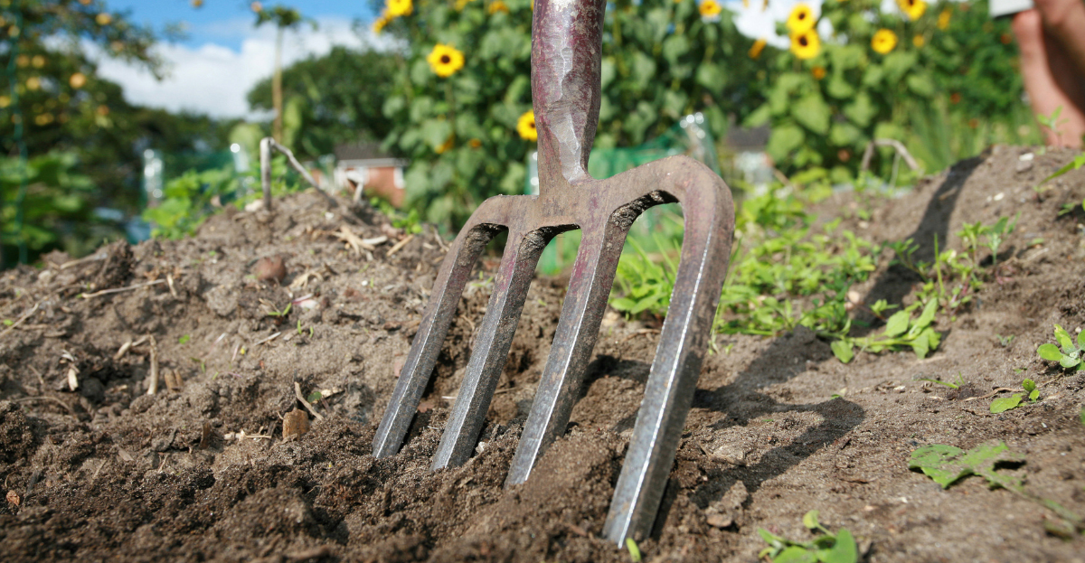 Garden Fork Digging